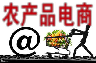 對話 養(yǎng)豬業(yè) 電子商務(wù)會發(fā)生什么