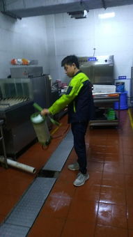 咸陽滅蟑螂公司,天王學校除蟑螂