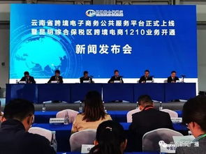 云南省跨境電子商務(wù)公共服務(wù)平臺正式上線 全球購將更加便捷